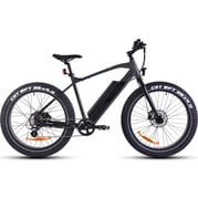 FitNord Rumble 300 Sähköfatbike (690 Wh tehoakku) 1