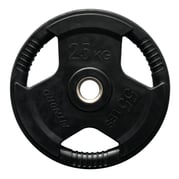 Levypaino 25 kg, FitNord Tri Grip Black G2 1