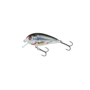 Salmo Butcher BR5F 5 cm Vaappu, kelluva, Holographic Real Dace 1