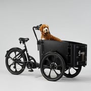 Cargobike of Sweden DeLight Dog laatikkopyörä 1