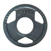 FitNord Valurautainen 30 mm levypaino otekahvoilla 1,25 kg