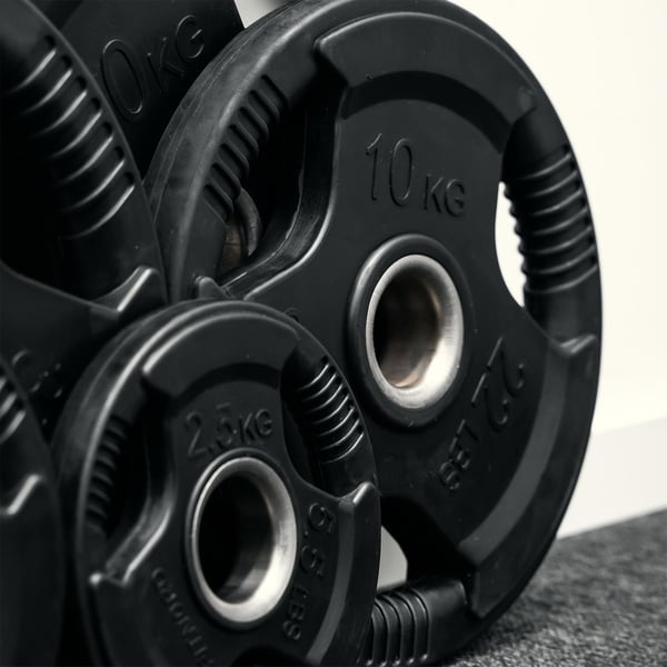 Levypaino 10 kg, FitNord Tri Grip Black G2 4