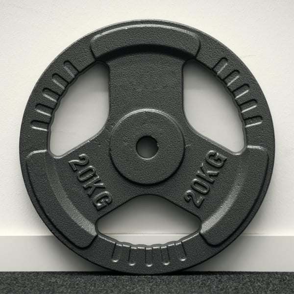 FitNord Valurautainen 30 mm levypaino otekahvoilla 20 kg 3