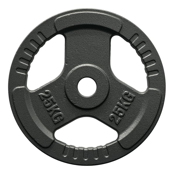 FitNord Valurautainen 50 mm levypaino otekahvoilla  25 kg 1