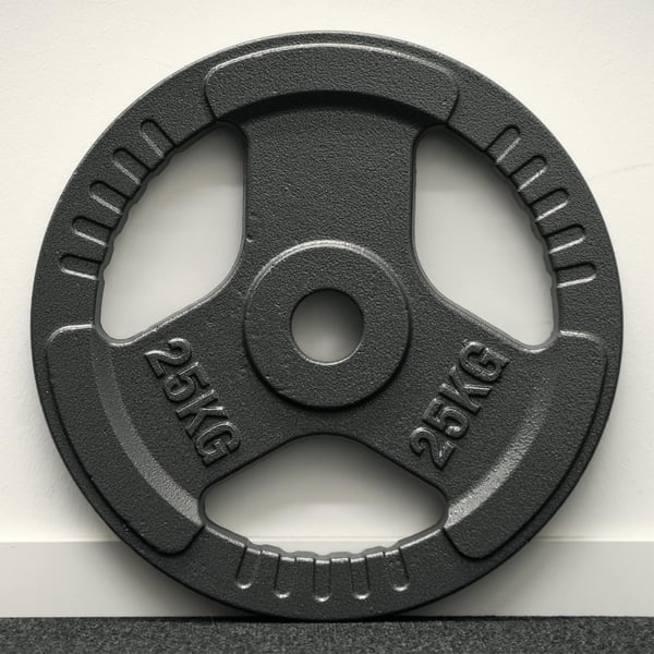FitNord Valurautainen 50 mm levypaino otekahvoilla  25 kg 3