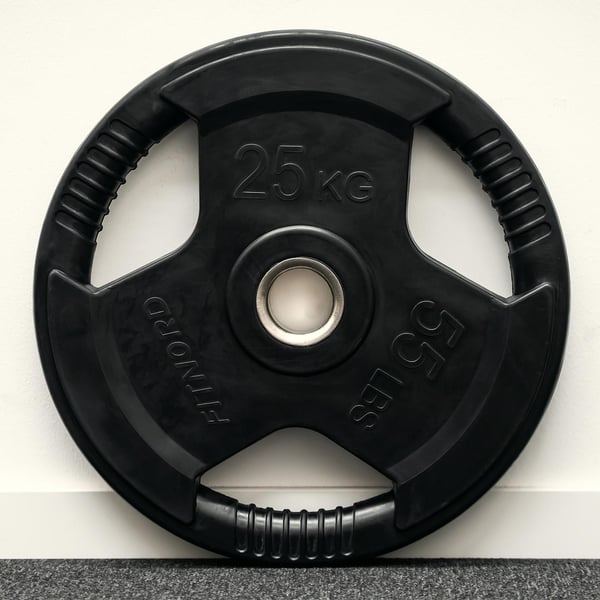 Levypaino 25 kg, FitNord Tri Grip Black G2 3
