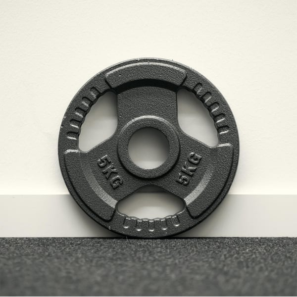 FitNord Valurautainen 50 mm levypaino otekahvoilla 5 kg 3