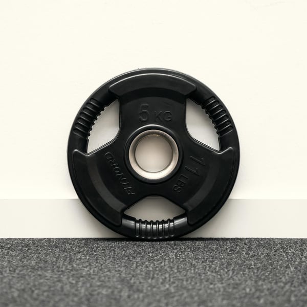Levypaino 5 kg, FitNord Tri Grip Black G2 3