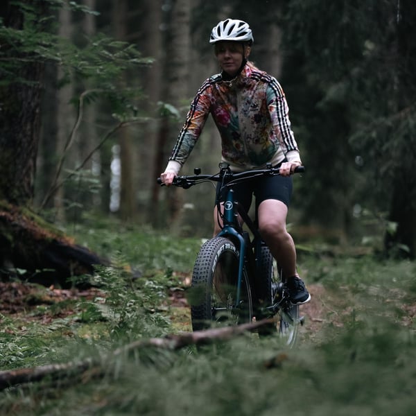 FitNord Rumble 300 Sähköfatbike 2024, sininen (720 Wh tehoakku) 4