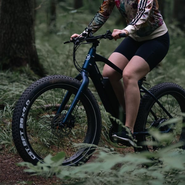 FitNord Rumble 300 Sähköfatbike 2024, sininen (720 Wh tehoakku) 2