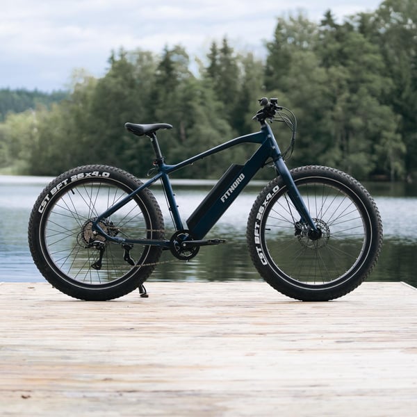 FitNord Rumble 300 Sähköfatbike 2024, sininen (720 Wh tehoakku) 8