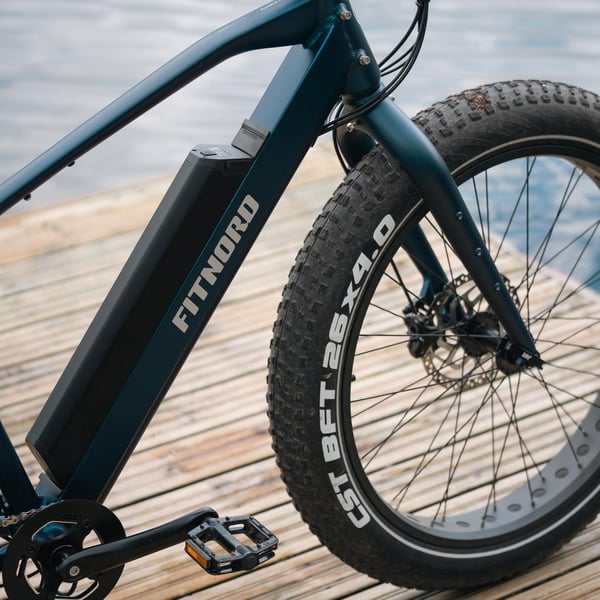 FitNord Rumble 300 Sähköfatbike 2024, sininen (720 Wh tehoakku) 7