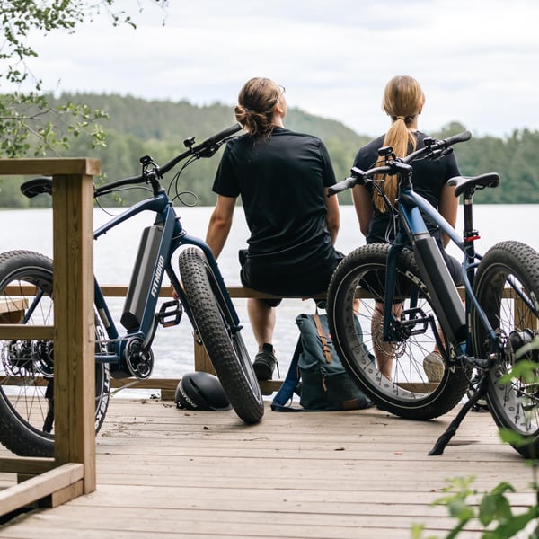 FitNord Rumble 300 Sähköfatbike 2024, sininen (720 Wh tehoakku) 6