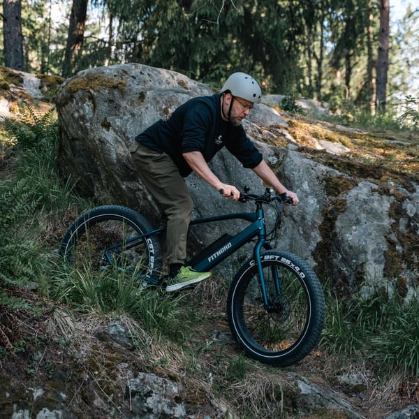 FitNord Rumble 300 Sähköfatbike 2024, sininen (720 Wh tehoakku) 3