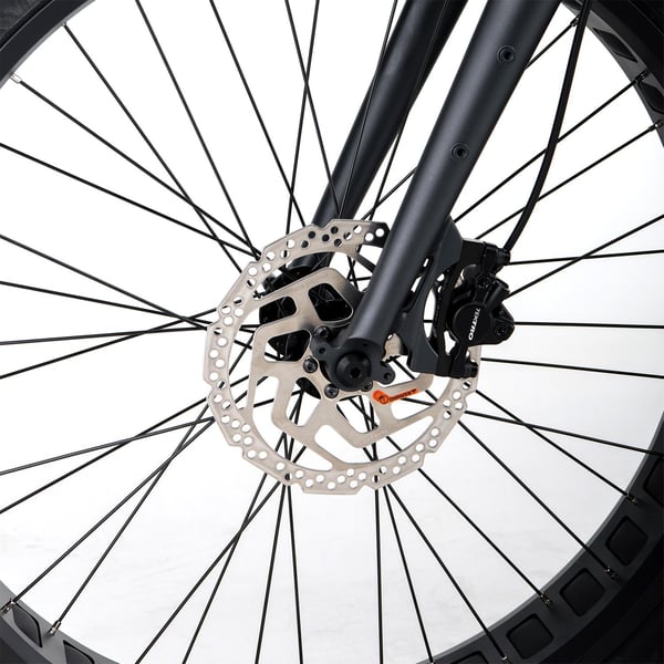 FitNord Rumble 300 Sähköfatbike G2, musta 10