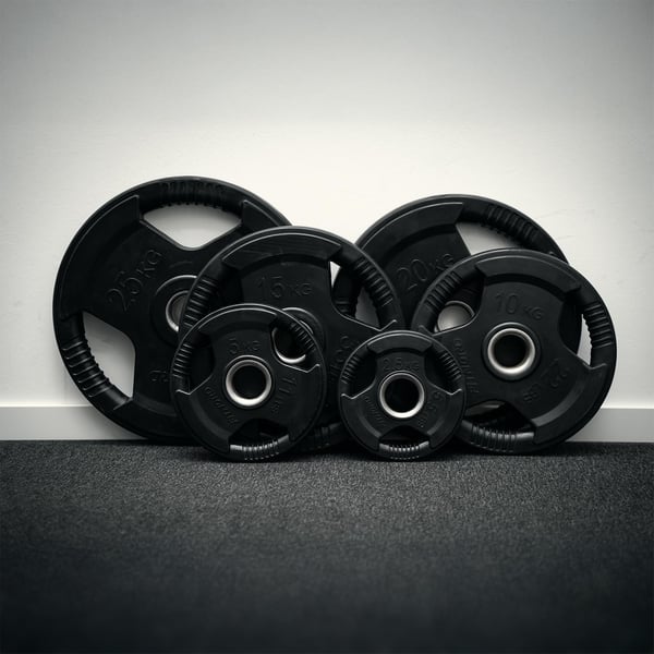Levypaino 25 kg, FitNord Tri Grip Black G2 5