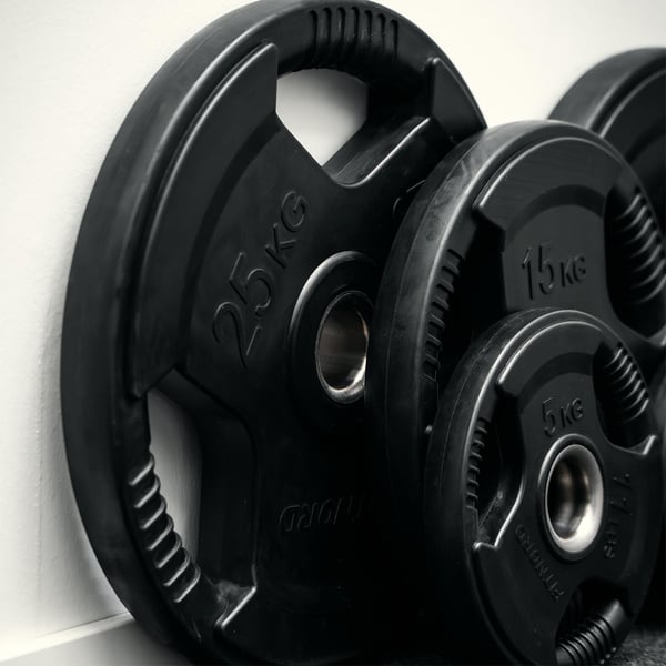 Levypaino 25 kg, FitNord Tri Grip Black G2 6