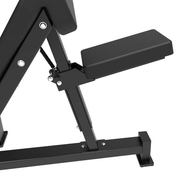 Tunturi Platinum Scott-hauiskääntöteline, levypainoille