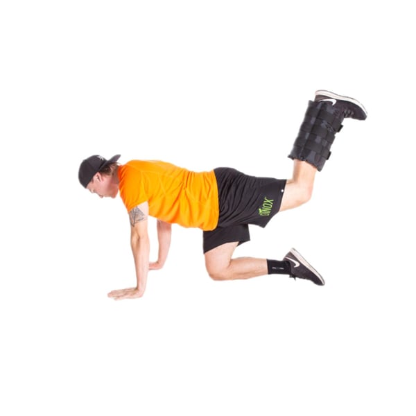 106546 Dinox Peppu Booster 10 kg