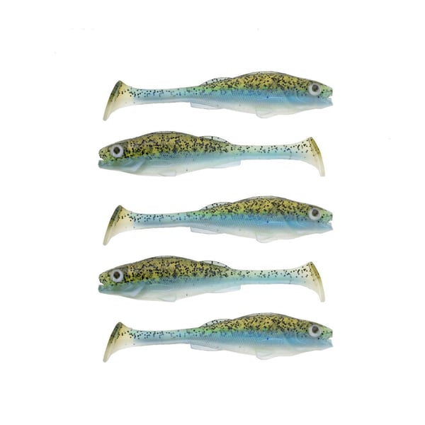  Jigilajitema Ahven / Kuha