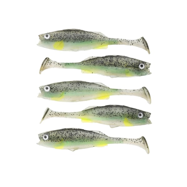  Jigilajitema Ahven / Kuha