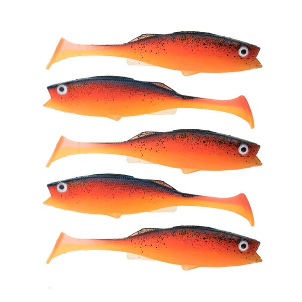  Jigilajitema Ahven / Kuha