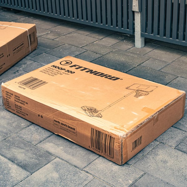 FitNord Hoop 300 Koripalloteline
