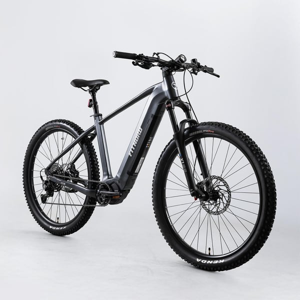 FitNord Ranger 800 Sähkömaastopyörä, musta