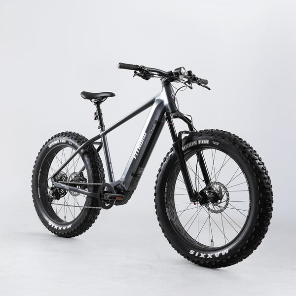 FitNord Rumble 800 Sähköfatbike, grafiitti
