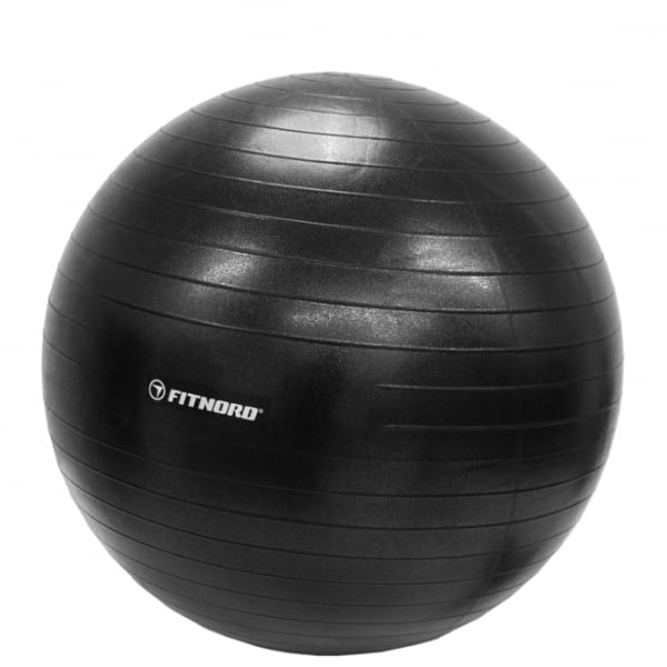 FitNord SF Jumppapallo 55 cm