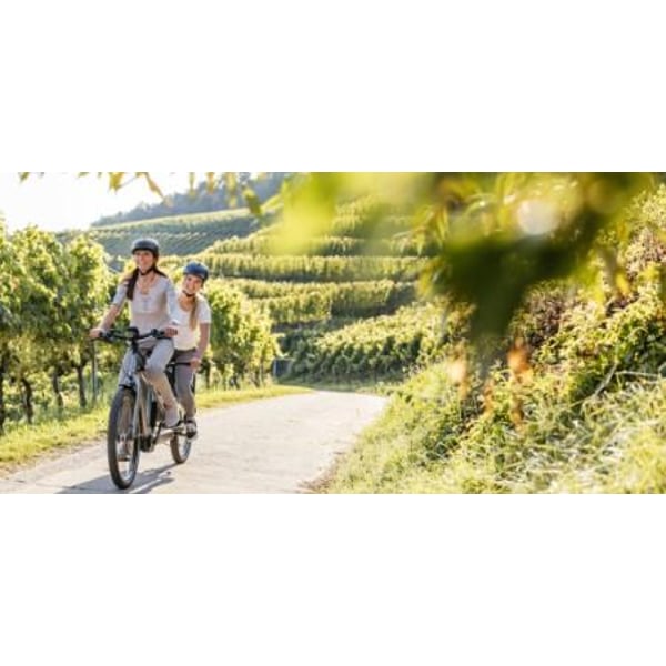 FLYER Tandem 7.83 Comfort Silver Dark Cool