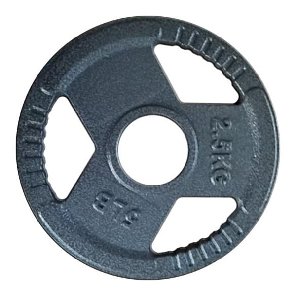 FitNord Valurautainen 30 mm Levypaino otekahvoilla 2,5 kg