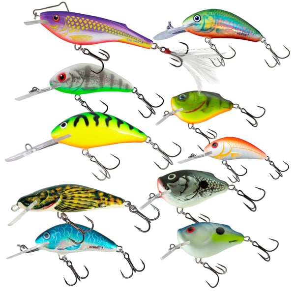 Salmo-viehe, erilaisia