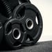 Levypaino 10 kg, FitNord Tri Grip Black G2 2