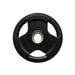 Levypaino 10 kg, FitNord Tri Grip Black G2 1