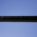 Salming P-Series KickZone Pro JR F29 Salibandyvarsi, musta/sininen 5