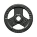 FitNord Valurautainen 50 mm levypaino otekahvoilla  15 kg 1
