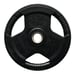 Levypaino 25 kg, FitNord Tri Grip Black G2 1