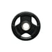 Levypaino 5 kg, FitNord Tri Grip Black G2 1
