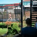 FitNord Bounce Trampoliini 366 cm 2024 6