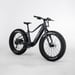 FitNord Rumble 300 Sähköfatbike G2, musta 3