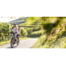 FLYER Tandem 7.83 Comfort Silver Dark Cool 3
