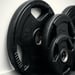 Levypaino 25 kg, FitNord Tri Grip Black G2 6