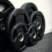 Levypaino 25 kg, FitNord Tri Grip Black G2 7