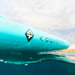 Aquatone Wave 10.0 SUP-lautasetti