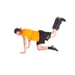 106546 Dinox Peppu Booster 10 kg