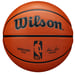 Wilson NBA Authentic Series Outdoor koripallo