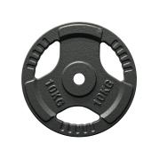 FitNord Valurautainen 30 mm Levypaino otekahvoilla 10 kg