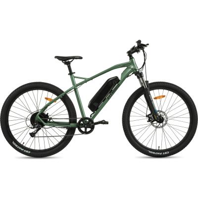 FitNord Ranger 200 Sähkömaastopyörä, vihreä (540Wh akku)