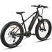FitNord Rumble 1000S Sähköfatbike takaviistosta